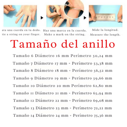 Anillo del Héroe Araña